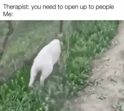 Nope