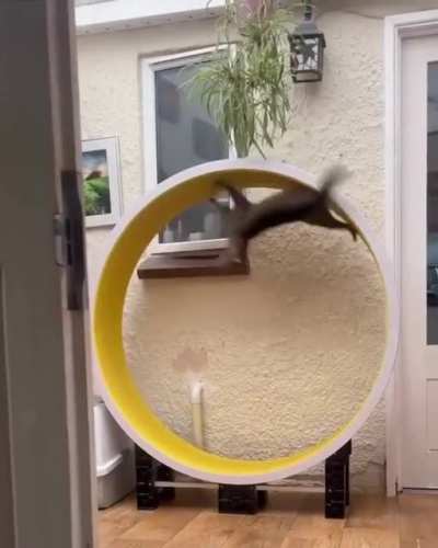 Физика
