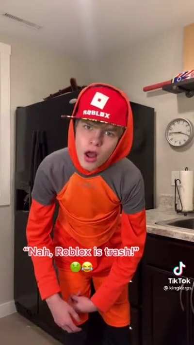 We get it, you like roblox..