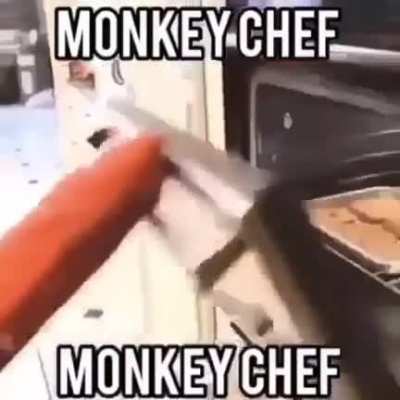 monkey chef