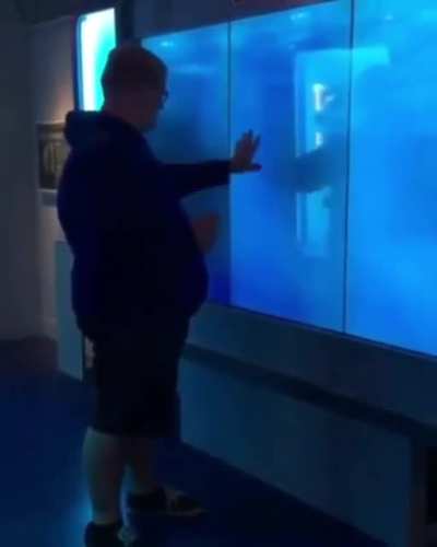 Don't tap the glass