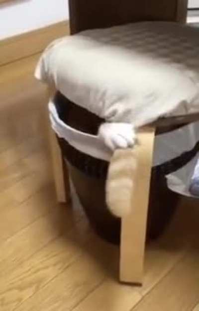 Oooops, I&rsquo;ll just grab that