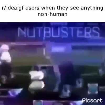 It&rsquo;s just like their ideal gf!!!