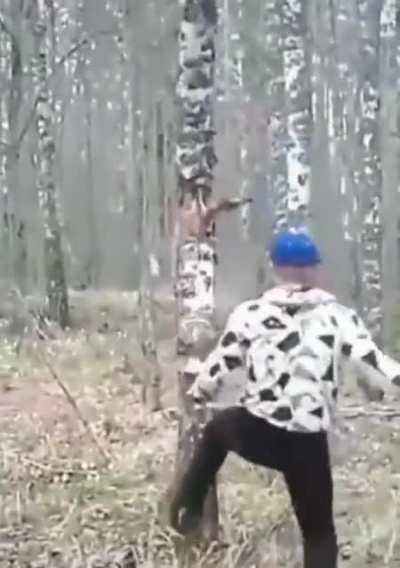 I&rsquo;m gonna show this tree who&rsquo;s boss