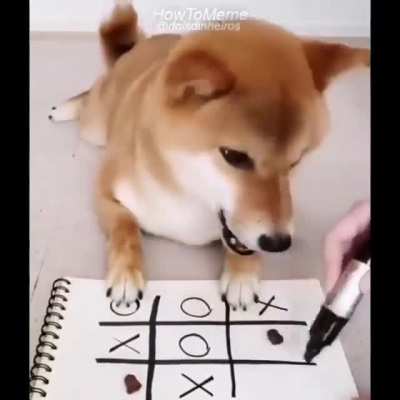 Os cachorros v&atilde;o dominar o mund0o