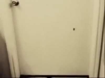 cursed_door