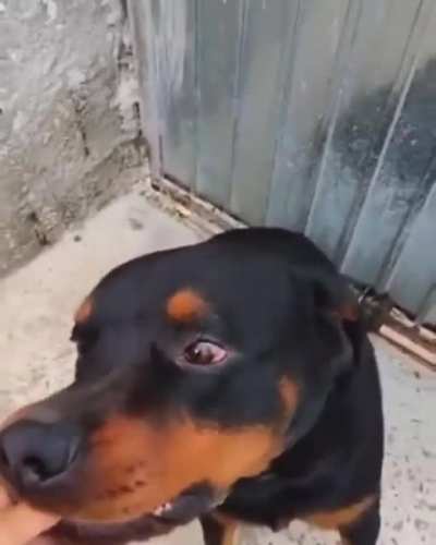 🤣🤣🤣🤣🤣🤣🤣🤣🤣🤣