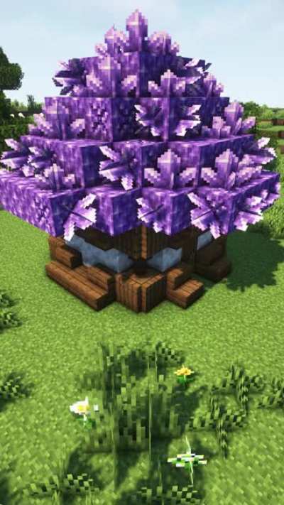 amethyst house design | sound on