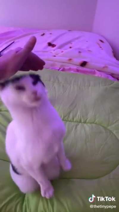 Looong neck