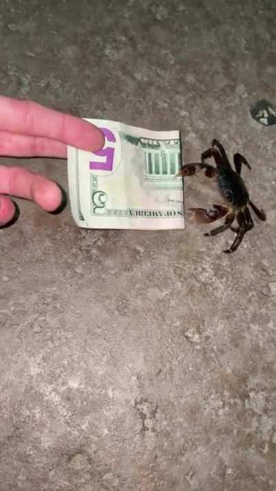 Working out a deal for the Krabby Patty secret formula