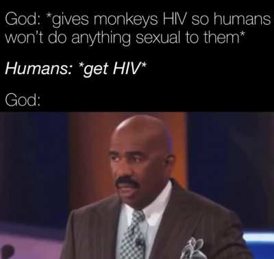 Noah, get the boat