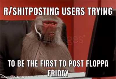 It&rsquo;s the funny cat guys, laugh at it again this week!
