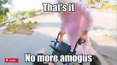 that's it. No more amogus