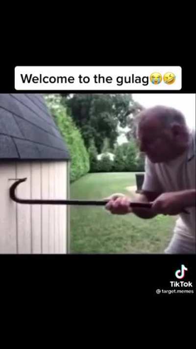 Bonk