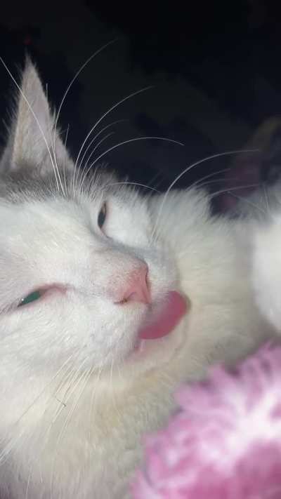 Sus bbs tambi&eacute;n se quedan as&iacute; despu&eacute;s de hacer masita en la colcha 🥰☺️😻