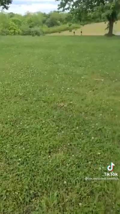 That last scream is killing me