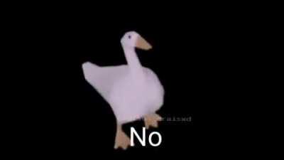 No