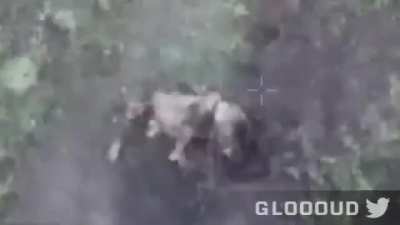 Russian soldier commits suicide with his rifle after being hit with a Ukrainian drone-dropped grenade, April 2025