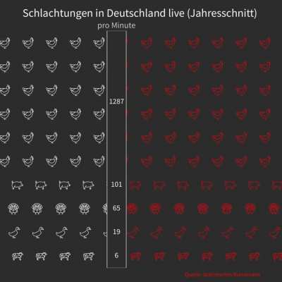 So viele Tiere werden in Deutschland gerade geschlachtet. (Durchschnitt &uuml;bers Jahr errechnet). Selbst gebastelte Grafik.