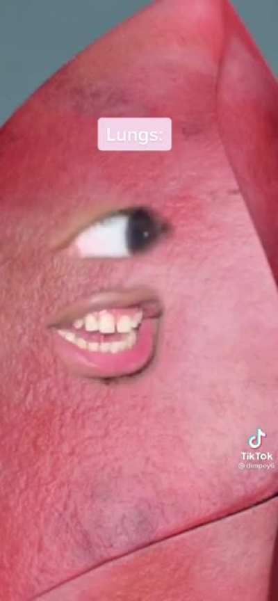 Thought y&rsquo;all would enjoy this