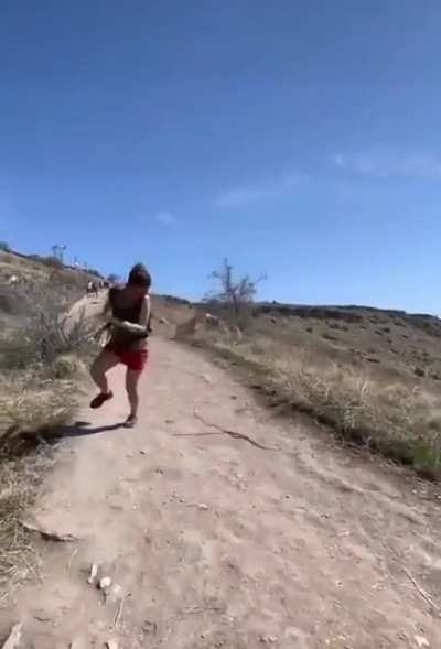Snake prank