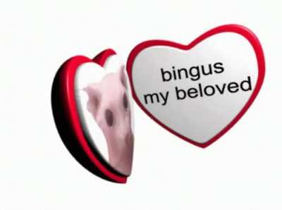 my beloved