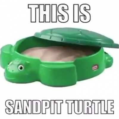 Rule