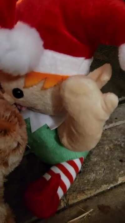 Merry Krampus