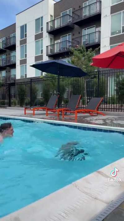 Splash Contest 2021