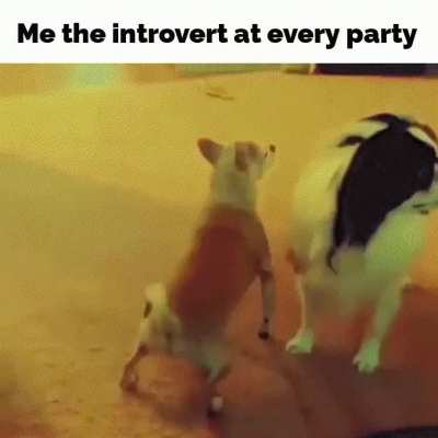 meirl