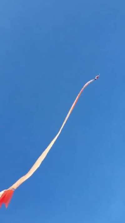 Kite festival gets a lot more exciting for one little boy...