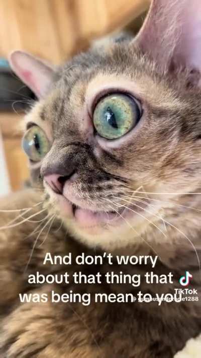 Motivational wunk