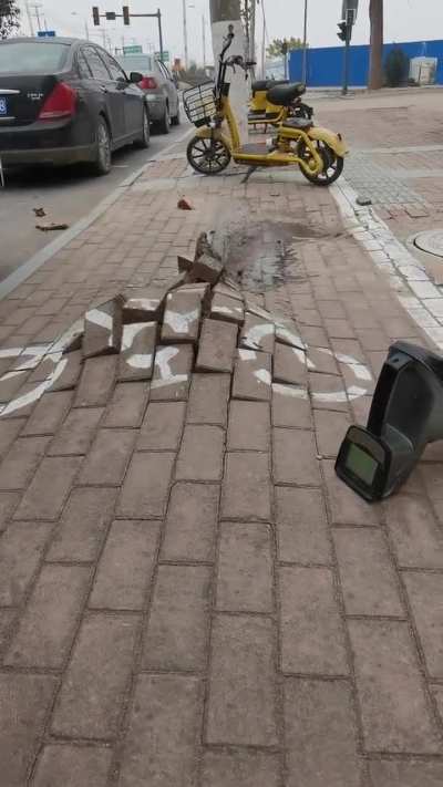 Parasyte