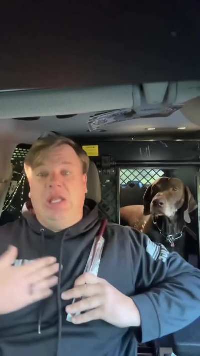 The dog was locked on to it