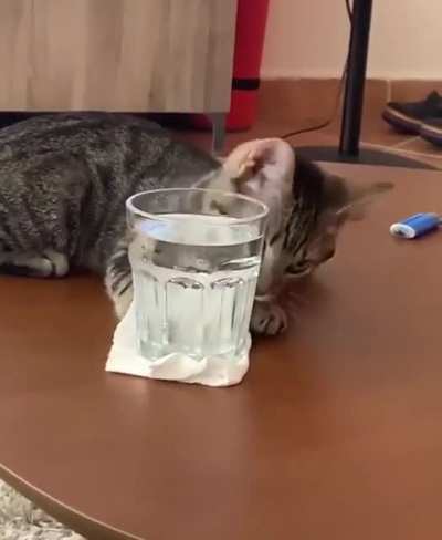 Definitely on purpose