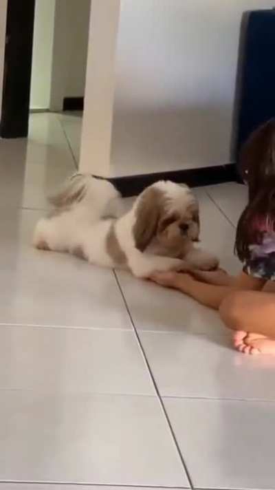 So cute and adorable! that stretched thou.