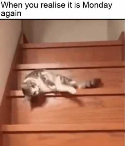 It is again that day of the week