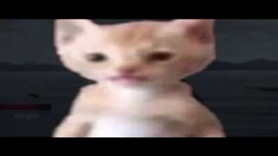Lord Shen cant handle the drip of Miguel cat