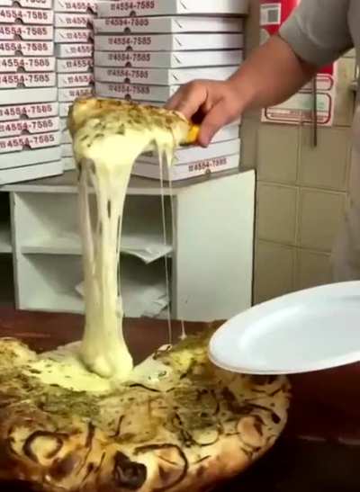 Copy pasta gato