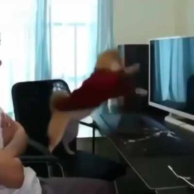 speedrun%