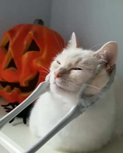Spooky scritches
