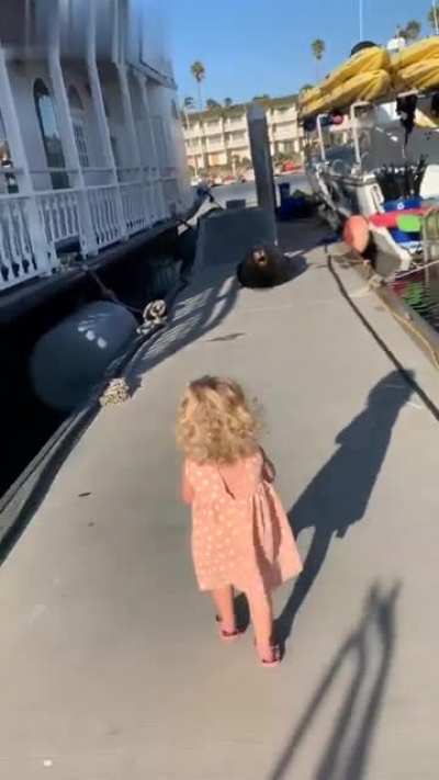 Look mom! A seal...