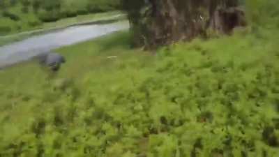 A day fishing out by the river takes an abrupt turn