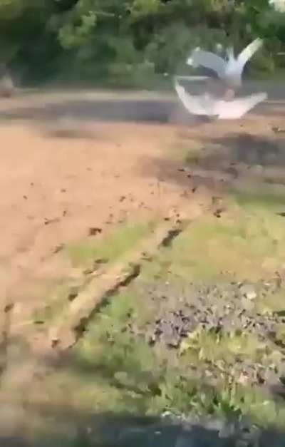 Довыёбывался