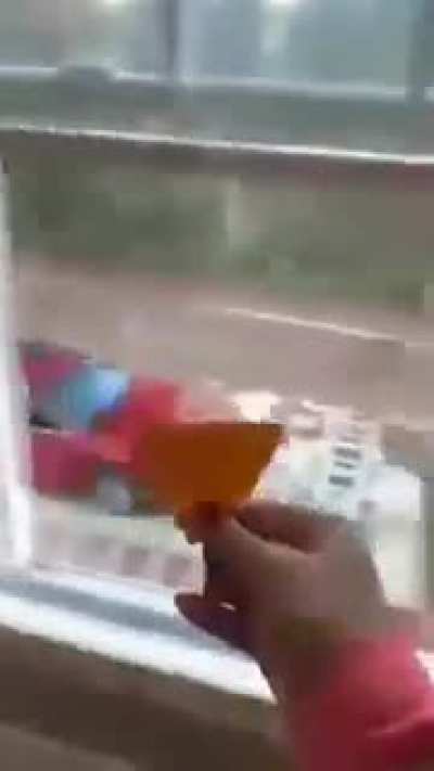 chip