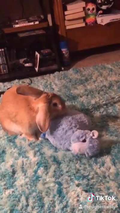 he has five of these llamas, they&rsquo;re his buddies