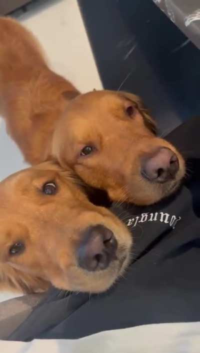 I guess they want something....