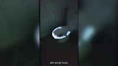 Potwierdzam :)