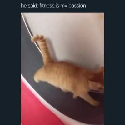 Fitness Model