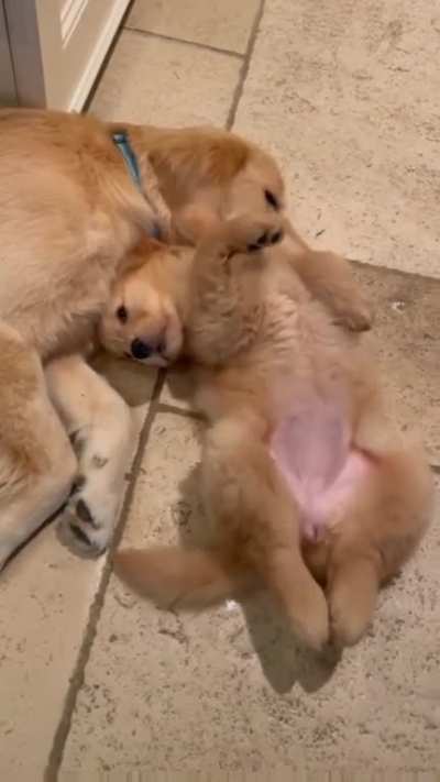....